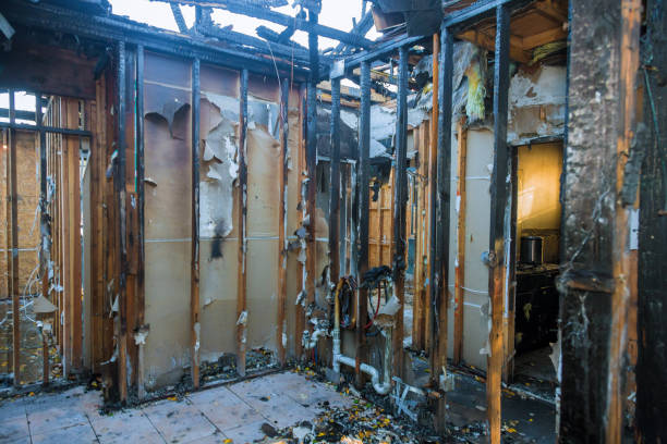 Professional Fire Damage Removal technician working in Lake Mills, IA